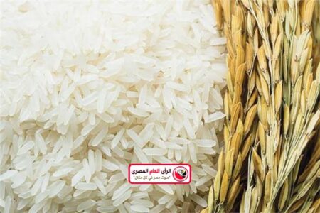 توريد أكثر من 39 ألف طن أرز شعير إلى صوامع كفر الشيخ 18