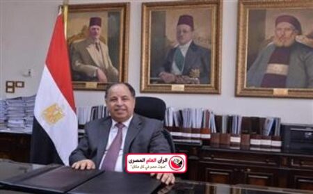 14 مارس آخر موعد للتسجيل بمبادرة استيراد سيارات المصريين بالخارج 11