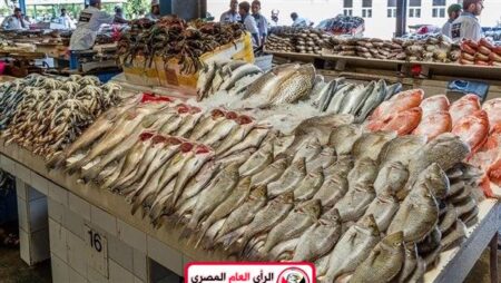 التعرف على اسعار السمك بانواعه اليوم 16