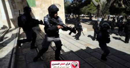 اعتقال 8 فلسطينيين بواسطة قوات الاحتلال 13