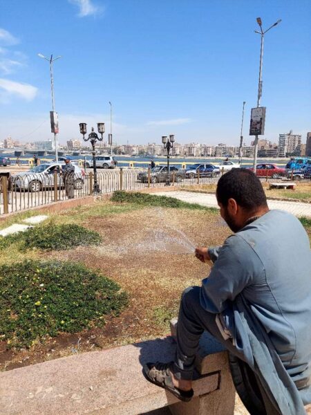 محمود امام يقود حملات يوميه لنظافه وتشجير شوارع سوهاج 8