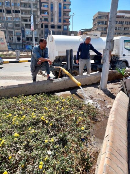 محمود امام يقود حملات يوميه لنظافه وتشجير شوارع سوهاج 7