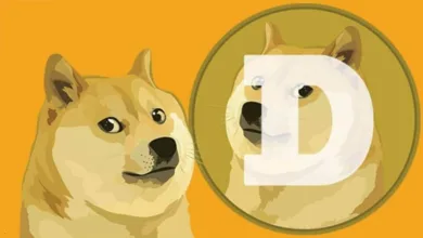 ما هي عملة Dogecoin