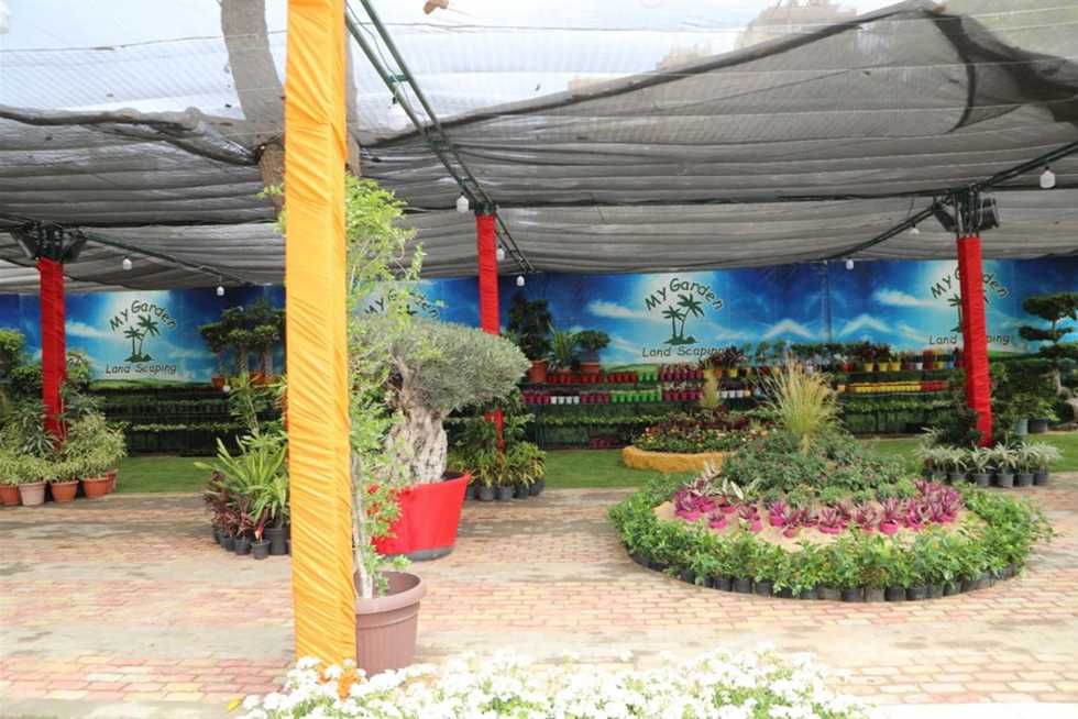 وزير الزراعة يفتتح مهرجان الزهور  بالمتحف الزراعي بالدقي 7