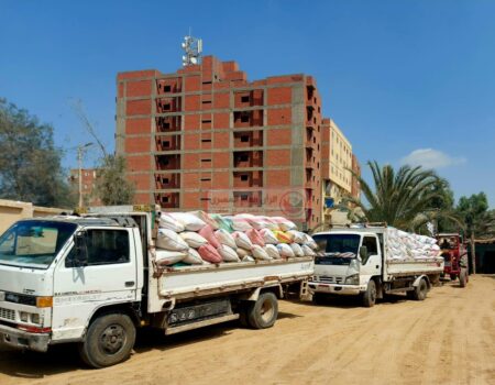 البنك الزراعي المصري..الشون تستقبل 277 ألف طن خلال الشهر الأول لموسم توريد القمح المحلي 5