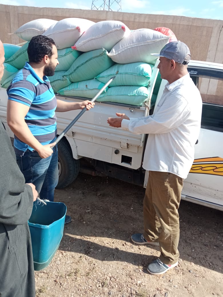 البنك الزراعي المصري يبدأ استلام محصول القمح من المزارعين والموردين في 190 موقع على مستوى الجمهورية 5