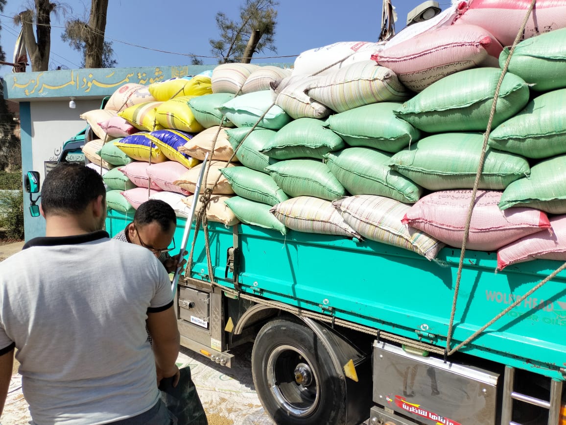 البنك الزراعي المصري يبدأ استلام محصول القمح من المزارعين والموردين في 190 موقع على مستوى الجمهورية 6