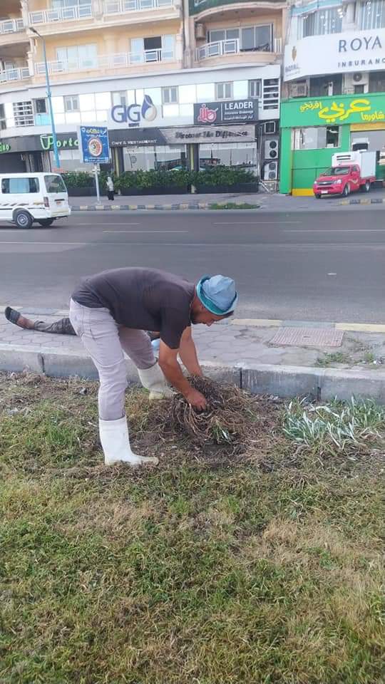 محافظة الإسكندرية تواصل جهود الارتقاء بمستوى التجميل والنظافة تحت إشراف الفريق أحمد خالد حسن سعيد 7