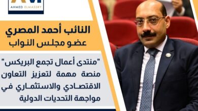 النائب احمد المصري: "منتدى أعمال تجمع البريكس: منصة لتعزيز التعاون الاقتصادي والاستثماري في مواجهة التحديات الدولية" 89