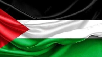 مصر تحيي اليوم الدولي للتضامن مع الشعب الفلسطيني 1