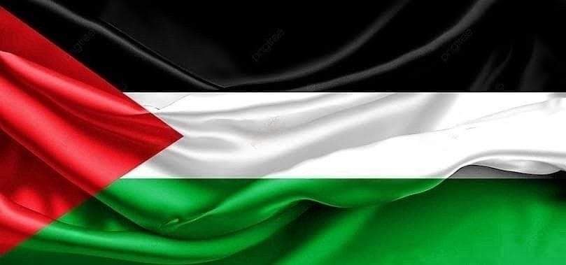 مصر تحيي اليوم الدولي للتضامن مع الشعب الفلسطيني 1