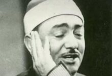 طه الفشنى