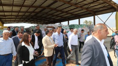 وزير الزراعة ومحافظ الشرقية