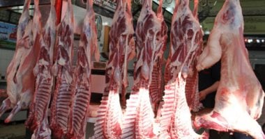 أسعار اللحوم