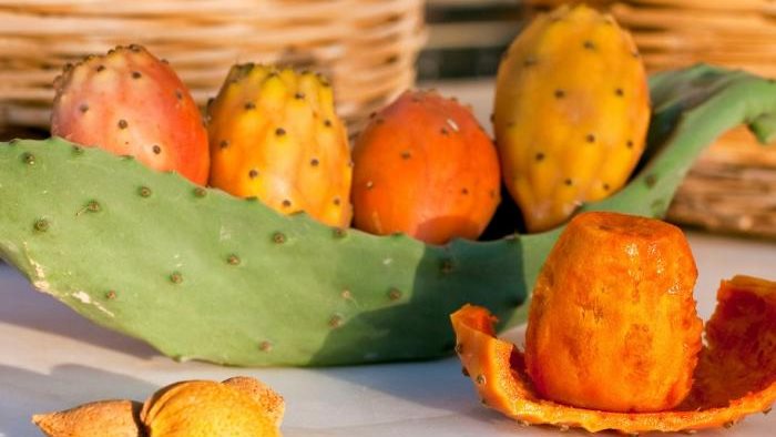 التين الشوكي