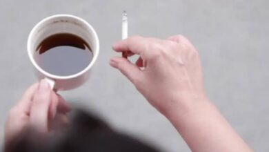 الشاي والذبادي