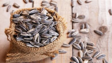 اللب السوري