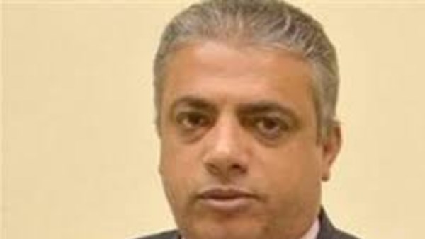 المستشار طلبة فوزي شلبي رئيس المحكمة