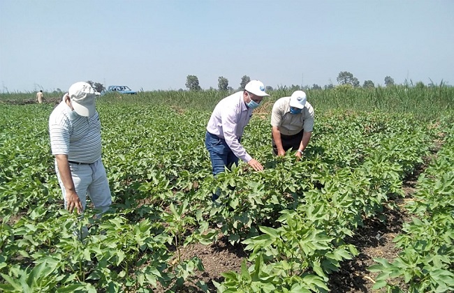 الصناعات الغذائية