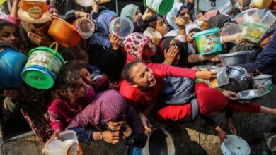 الإعلام الحكومي