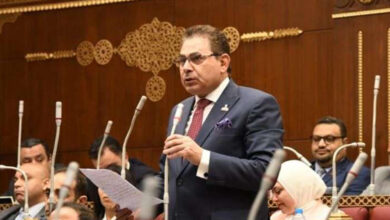 النائب فرج فتحي