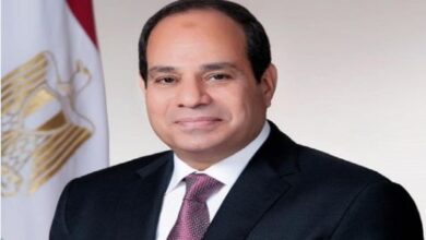 الرئيس السيسي