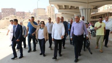 محافظ القاهرة