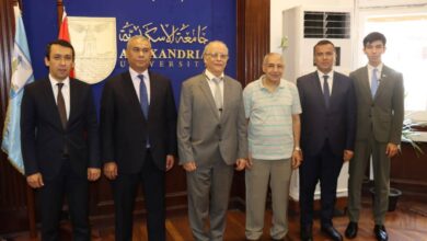 جامعة الإسكندرية