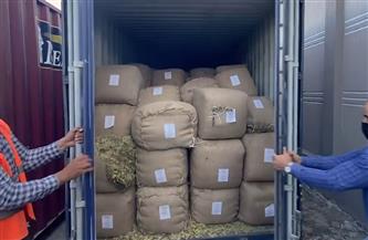 السيطرة الأمنية