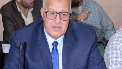 مصر المستقبل