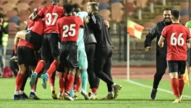 دوري المحترفين