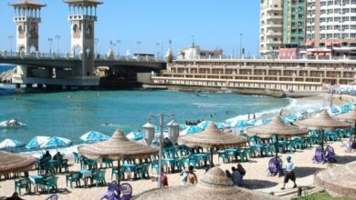 شواطئ الإسكندرية