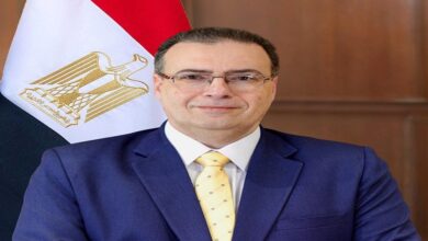 التنظيم والإدارة