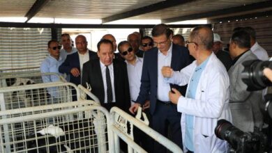 وزير الزراعة