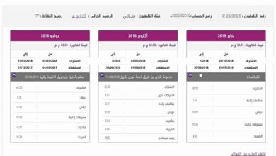المصرية للاتصالات