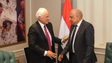 وزير الكهرباء