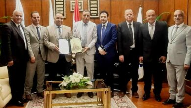 البتروكيماويات المصرية