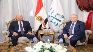 نائب رئيس الوزراء للتنمية الصناعية