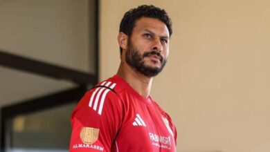 محمد الشناوي