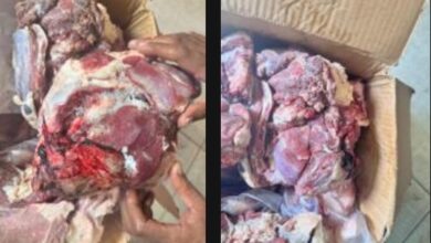 حملات تموينية