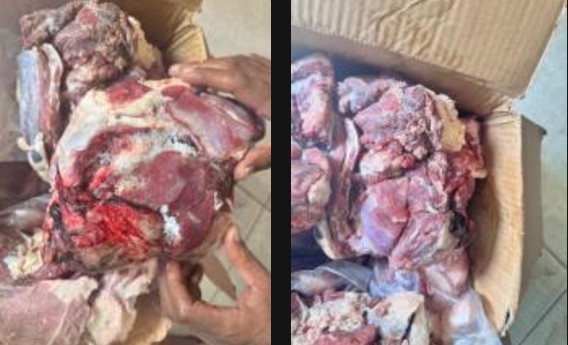 حملات تموينية