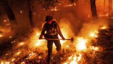 حرائق الغابات