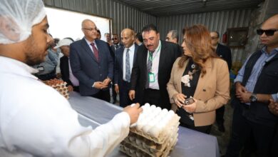 وزير الإسكان