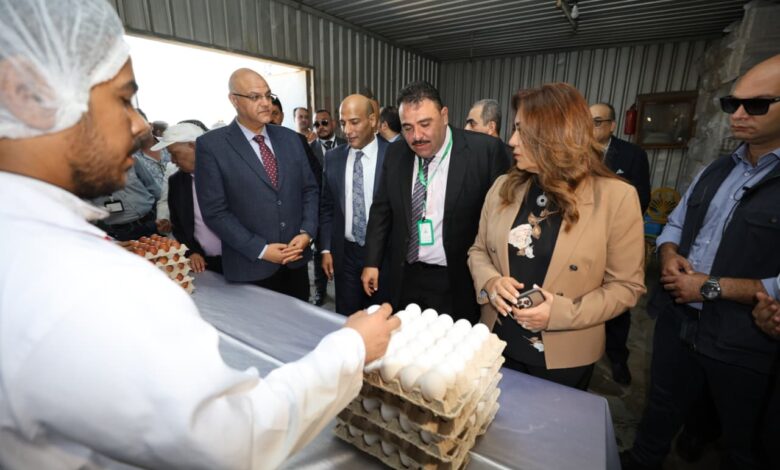 وزيرة التنمية المحلية