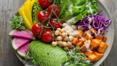 النظام النباتي