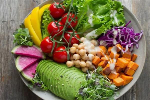 النظام النباتي