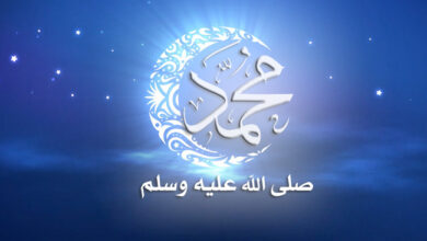 مولد النبي