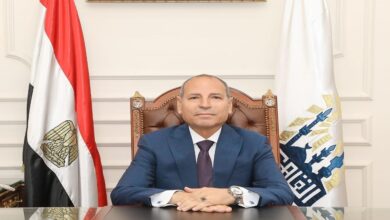 محافظ القاهرة