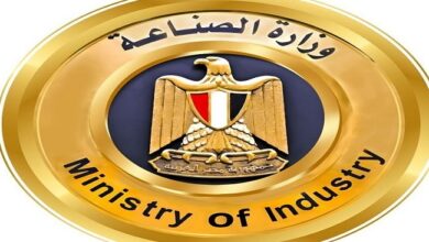 الجهاز التنفيذي