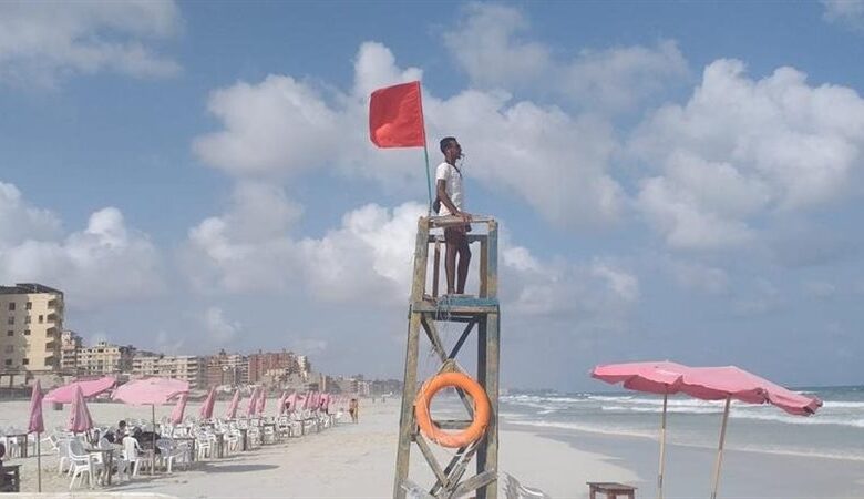 الإسكندرية